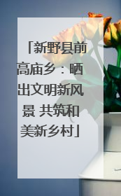 新野县前高庙乡：晒出文明新风景 共筑和美新乡村
