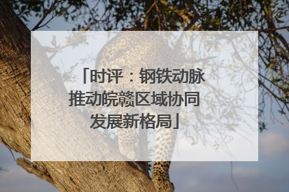 时评：钢铁动脉推动皖赣区域协同发展新格局
