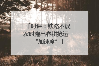 时评：铁路不误农时跑出春耕抢运“加速度”