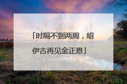 时隔不到两周，绍伊古再见金正恩