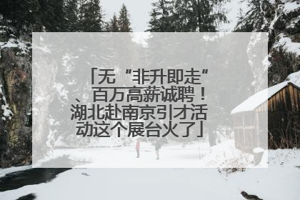 无“非升即走”、百万高薪诚聘！湖北赴南京引才活动这个展台火了