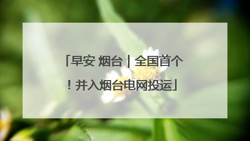 早安 烟台｜全国首个！并入烟台电网投运