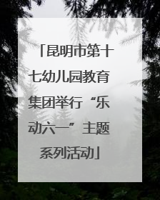 昆明市第十七幼儿园教育集团举行“乐动六一”主题系列活动