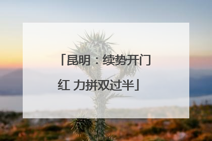 昆明：续势开门红 力拼双过半