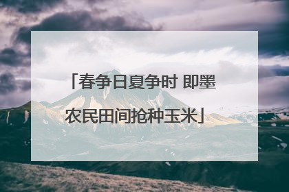 春争日夏争时 即墨农民田间抢种玉米