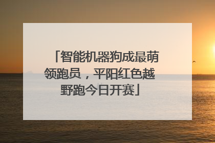智能机器狗成最萌领跑员，平阳红色越野跑今日开赛