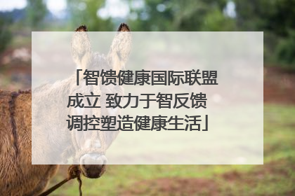 智馈健康国际联盟成立 致力于智反馈调控塑造健康生活