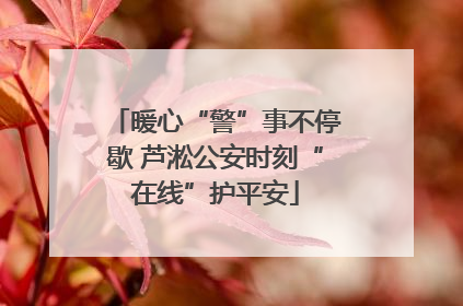 暖心“警”事不停歇 芦淞公安时刻“在线”护平安