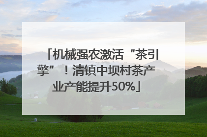 机械强农激活“茶引擎”！清镇中坝村茶产业产能提升50%