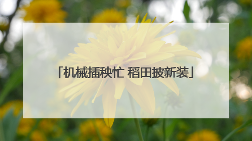 机械插秧忙 稻田披新装