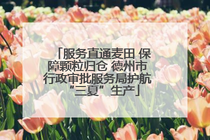 服务直通麦田 保障颗粒归仓 德州市行政审批服务局护航“三夏”生产