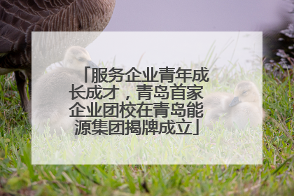 服务企业青年成长成才，青岛首家企业团校在青岛能源集团揭牌成立
