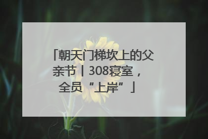 朝天门梯坎上的父亲节丨308寝室，全员“上岸”