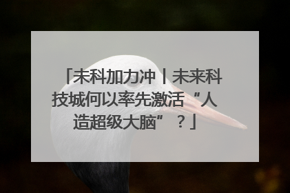 未科加力冲丨未来科技城何以率先激活“人造超级大脑”？