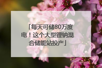 每天可储80万度电！这个大型锂钠混合储能站投产