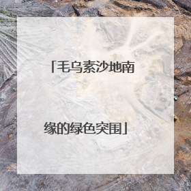 毛乌素沙地南缘的绿色突围