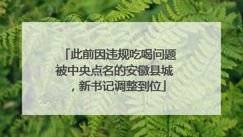 此前因违规吃喝问题被中央点名的安徽县城，新书记调整到位