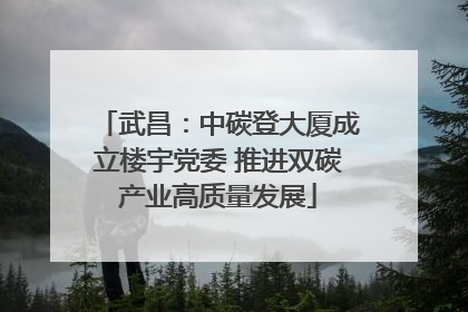 武昌：中碳登大厦成立楼宇党委 推进双碳产业高质量发展