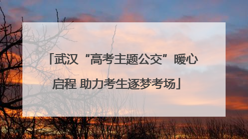 武汉“高考主题公交”暖心启程 助力考生逐梦考场