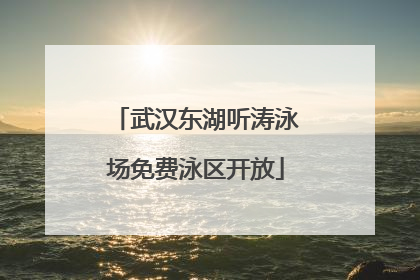 武汉东湖听涛泳场免费泳区开放
