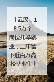 武汉：18.5万个岗位托举就业，三年留下近百万高校毕业生