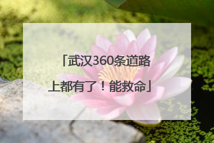 武汉360条道路上都有了！能救命