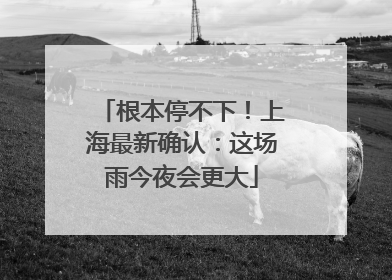 根本停不下！上海最新确认：这场雨今夜会更大