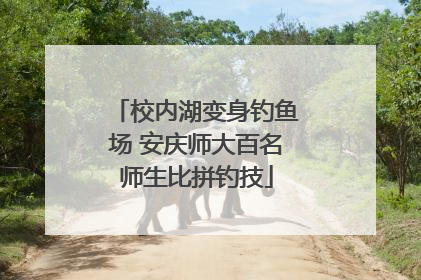 校内湖变身钓鱼场 安庆师大百名师生比拼钓技