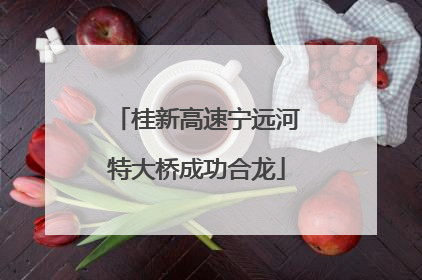 桂新高速宁远河特大桥成功合龙