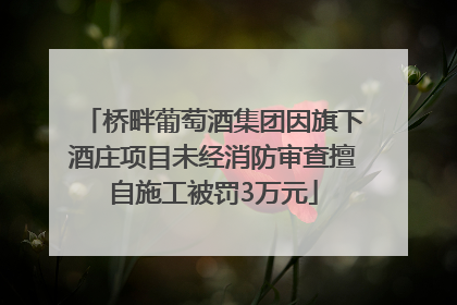 桥畔葡萄酒集团因旗下酒庄项目未经消防审查擅自施工被罚3万元