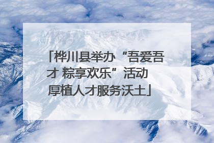 桦川县举办“吾爱吾才 粽享欢乐”活动 厚植人才服务沃土