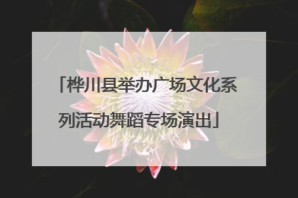 桦川县举办广场文化系列活动舞蹈专场演出