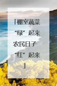 棚室蔬菜“绿”起来 农民日子“红”起来