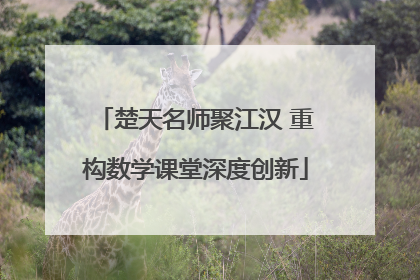 楚天名师聚江汉 重构数学课堂深度创新