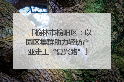 榆林市榆阳区：以园区集群助力轻纺产业走上“复兴路”
