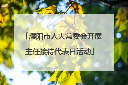 濮阳市人大常委会开展主任接待代表日活动