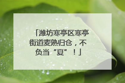 潍坊寒亭区寒亭街道麦熟归仓，不负当“夏”！