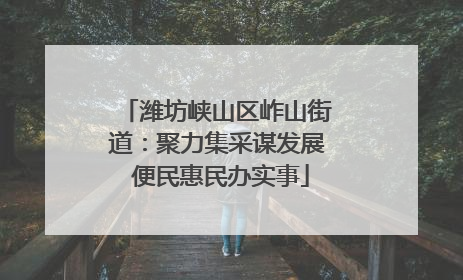 潍坊峡山区岞山街道：聚力集采谋发展 便民惠民办实事