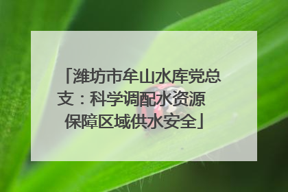 潍坊市牟山水库党总支：科学调配水资源 保障区域供水安全
