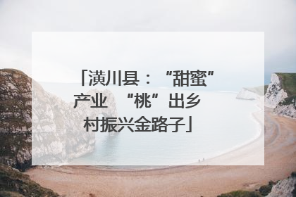 潢川县：“甜蜜”产业  “桃”出乡村振兴金路子