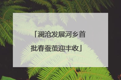 澜沧发展河乡首批春蚕茧迎丰收