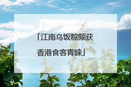 江南乌饭粽频获香港食客青睐