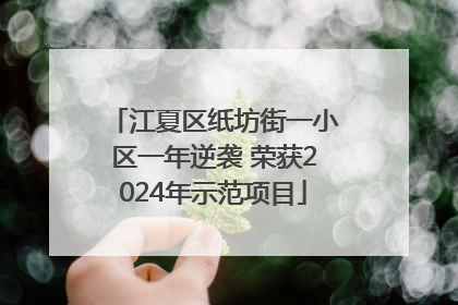 江夏区纸坊街一小区一年逆袭 荣获2024年示范项目