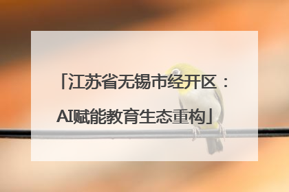 江苏省无锡市经开区：AI赋能教育生态重构