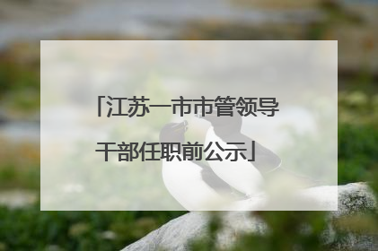 江苏一市市管领导干部任职前公示