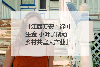 江西万安：绿叶生金 小叶子撬动乡村共富大产业