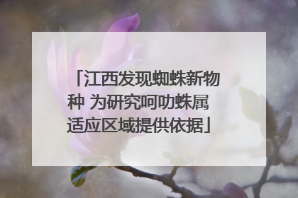 江西发现蜘蛛新物种 为研究呵叻蛛属适应区域提供依据