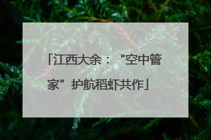江西大余：“空中管家”护航稻虾共作