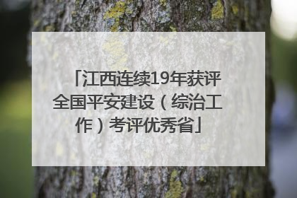 江西连续19年获评全国平安建设（综治工作）考评优秀省
