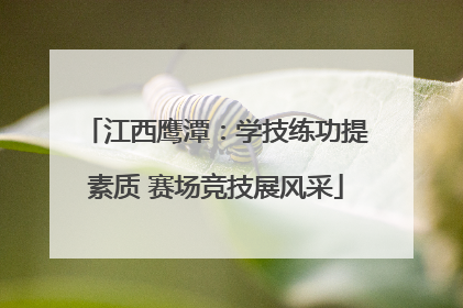 江西鹰潭：学技练功提素质 赛场竞技展风采